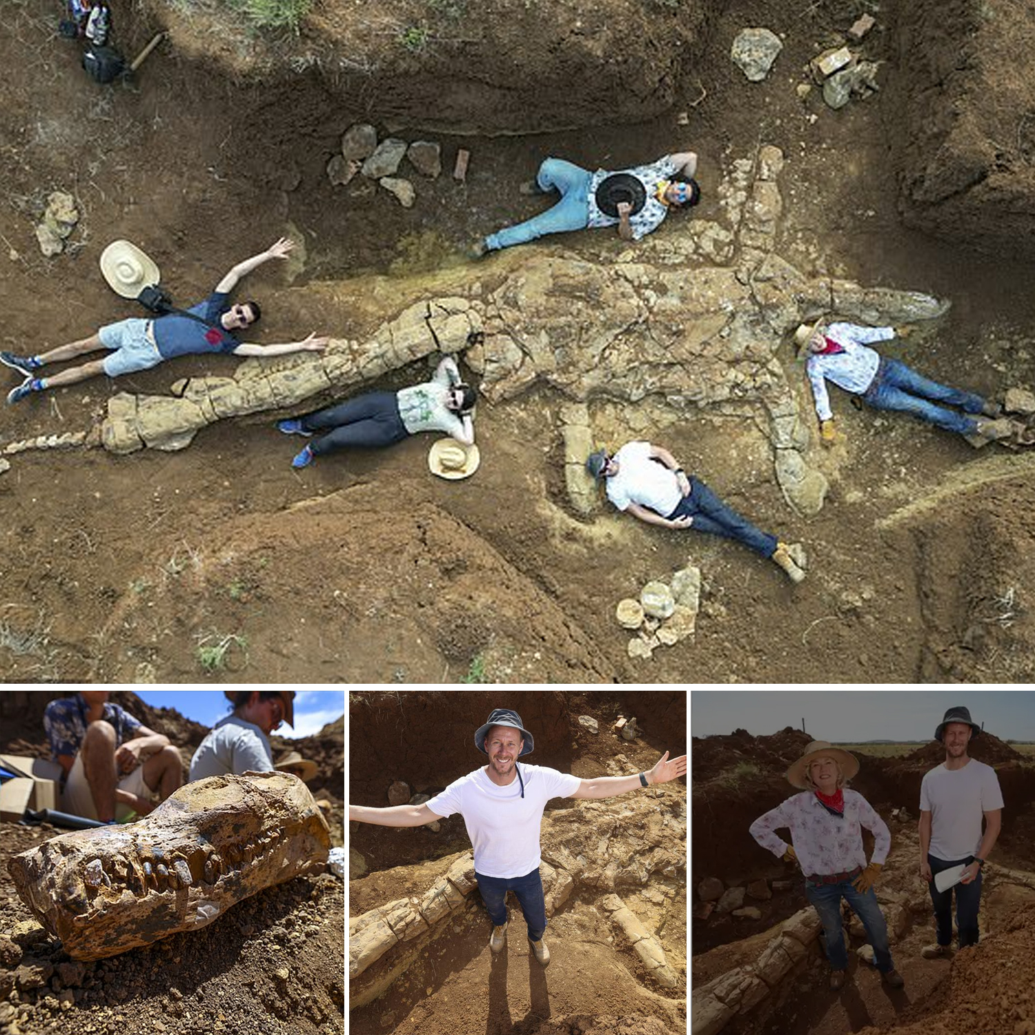 Incredible Grand Canyon Find: Fossil Hunters Unearth Ancient Ecosystem! - i32x2ad
